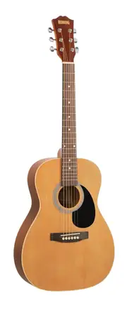Redding Traveller Guitar RTR34NS - Acoustic Electric Dreadnought with Cedar Top