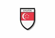 PATCH PATCHES EMBLEM IRON ON GLUE PRINT FLAG world crest singapore