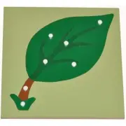 MONTESSORI Material LEAF Wooden Knob Puzzle Educational Toy Homeschool SCHOOL