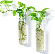 Wall-Mounted Plant Terrarium Propagation Station - 2 Cylinder Hanging Glass Tube