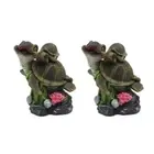 Fishtanks Landscape Coral Turtles Decorations for Aquariums Terrarium Ornaments