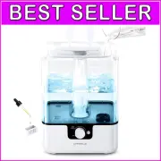 Large 6L Cool Mist Humidifier with Easy Top Fill and Nightlight, Ideal for Homes