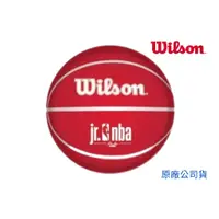 在飛比找蝦皮商城精選優惠-【GO 2 運動】WILSON  JR NBA DRV系列 
