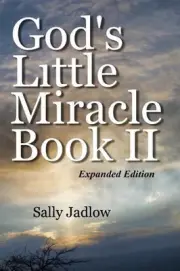 God's Little Miracle Book II by Sally Jadlow (English) Paperback Book