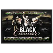 Black Caviar Facsimilie Dual Sign Print Framed