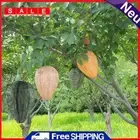 Hanging Wasp Deterrent Wasp Nest Decoy Durable for Wasps Hornets Yellow Jackets