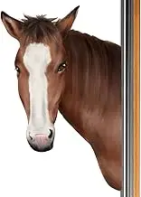 Funny Window Clings - Removable Fake Window Scene Horse Stickers - Faux Window View Decals, Realistic Funny Horse Window Stickers, Removable Fake Window Scene Wall Stickers Pochy