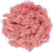 uxcell Preserved Reindeer Moss, 7oz Fake Moss for Crafts Artificial Dried Moss for Decoration Terrariums Potted Plants, Light Pink