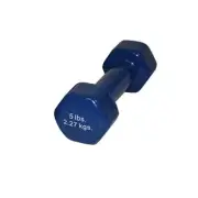 Fabrication Enterprises 10-0554-1 5 lbs Vinyl-Coated Iron Dumbbell Blue