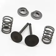 WQWQW Spring Retainer Kit 5.5-6.5HP Engine Exhaust Valve for Honda Gasoline Tools Convenient Durable Useful Tool Accessories