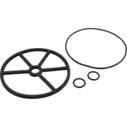 Astral Valve Lid O-Ring 4404120407 Astralpool