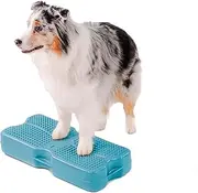 Blue-9 Propel Air Platform Kit, Professionally Designed Dog Training Accessories and Pet Products, Made in The USA, Turquoise