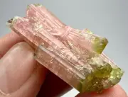 63 Carat Bicolor Tourmaline Crystal From Pakistan