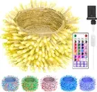 Color Changing String Lights Outdoor- 22 Colors 33FT 100 LED Fairy String Lights