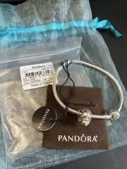 PANDORA Moments Snake Chain Bracelet & Twinkling Turtle Charm. New