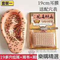 在飛比找蝦皮購物優惠-✨台灣現貨✨免運模型耳穴貼按摩耳朵模型耳部探針耳豆貼耳貼豆壓