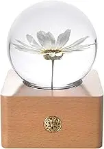 MISS LI GARDEN Forever Flowers Various and Original Color Flower in 3D Crystal Ball Present for Girlfriend Wife Mom Women Birthday Anniversary Wedding Home Decor (Leucanthemum)