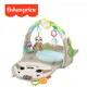 Fisher-Price 費雪 可愛小樹懶感官健身器★衛立兒生活館★