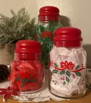 Corelle Coordinates Winter Holly Glass Canister Set of 3 Canisters with Lids
