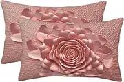 2 Pack Pillow Cases with Hidden Zipper, Soft Breathable Pillowcase for Hair and Skin, 20"x30" Pillow Covers for Sleeping Gift Bed Pillow Case Rose Gold Pink Pillowcases
