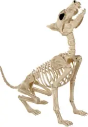 Howl At The Moon Dog Skeleton Prop