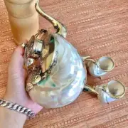 Conch Shell Teapot, Bronze Edged, Copper-Coasted Teapot, Home Decor, Sea Snail
