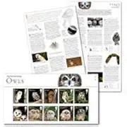 Owls Presentation Pack Royal Mail 2018