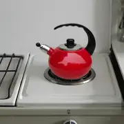 Whistling Kettle Hot Water Kettle for Gas and Induction Functional Fast Boiling