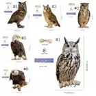 Bird Repel Scarecrow Owl Scarecrow Scarer Pendant Decorative Scarer Suitable；