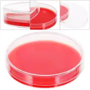 10 Pcs Agar Dishes for Mushrooms Plate Infusion Plates