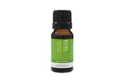 Eco Modern Essentials ECO. Modern Essentials Essential Oil Spearmint 10ml