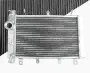 Aluminum radiator For Triumph TT 600 TT600 2000-2003 2001 2002 00 01 02 03