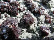 Raspberry Sphalerite clusters on quartz w druzy Marcasite crystals on matrix