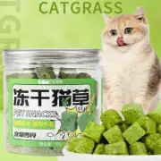50g Cat Snack Mint Natural Catnip Cat Treats Healthy Grass Snack New W8V4
