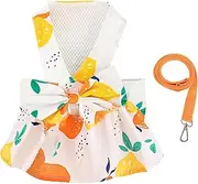 Small Dog Dress Harness and Leash Set Dog Dresses for Small Dogs Cat Girl Summer Cat Apparel Cute Bow Dog Harness Dress Floral Puppy Princess Vest Dress Pet Clothes (Orange Lemon, S)