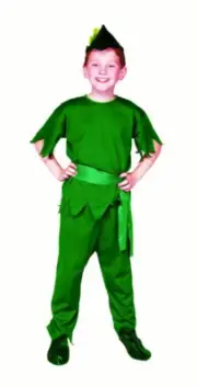 RG Costumes 90024-S Elf Costume - Size Child-Small 4-6 NEW C4