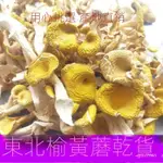 淨重 東北山珍 野生蘑菇 榆黃蘑 鷄油菌 新鮮雜菌 磨菇幹貨 黃蘑 菌菇 煲湯 煨湯 燉湯 幹貨食材