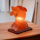 Himalayan Dolphin Salt Lamp - Includes 12v Cord and 12 Watt Globe