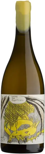 Blank Bottle Smaug The Magnificent White Blend 750ml