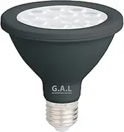 (2 Pack) G.A.L 12W LED Globe PAR30 E27-240V - 6500K - IP65 - Black