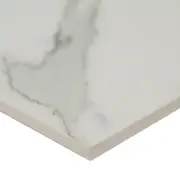 MSI NREG2424 24" x 24" Square Floor Tile - Matte Visual - Sold by