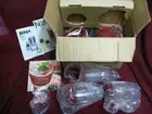 New In Box Nutri Ninja Kitchen System Pulse Blender Model: BL203QCN