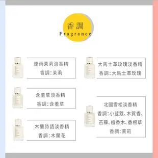 Chloe 仙境花園 淡香精小香禮盒 10ml (五件組)〔10點半香水美妝〕