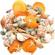 Maicodes Sea Shells - Mixed Beach Seashells Starfish - Various Size up to 3.5″ N