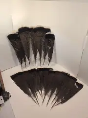 17Pcs Natural Turkey Feather, 12-15 Inches Turkey Feathers for Craft