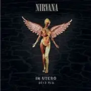 Nirvana In Utero (Anniversary Edition) (45 RPM, 180 Gram Vinyl) (2 Lp's) Records
