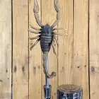 Scorpion Beer Tap Handle For Kegerator Scary Halloween Bug Desert Insect