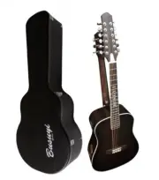 Busuyi 12 String /6 String Acoustic/Electric Double Neck Guitar With Hard Case