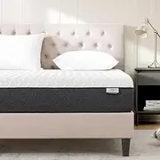 [Gelsea] Queen Mattress,10 Inch Memory Foam Mattress in a Box,Green Tea Infused,Hypoallergenic Bamboo Charcoal,Made in USA,Queen Size Bed,60" X 80" X 10