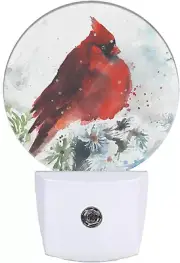 Watercolor Cardinal Night Light Spring Red Bird on Branch Night Lights P